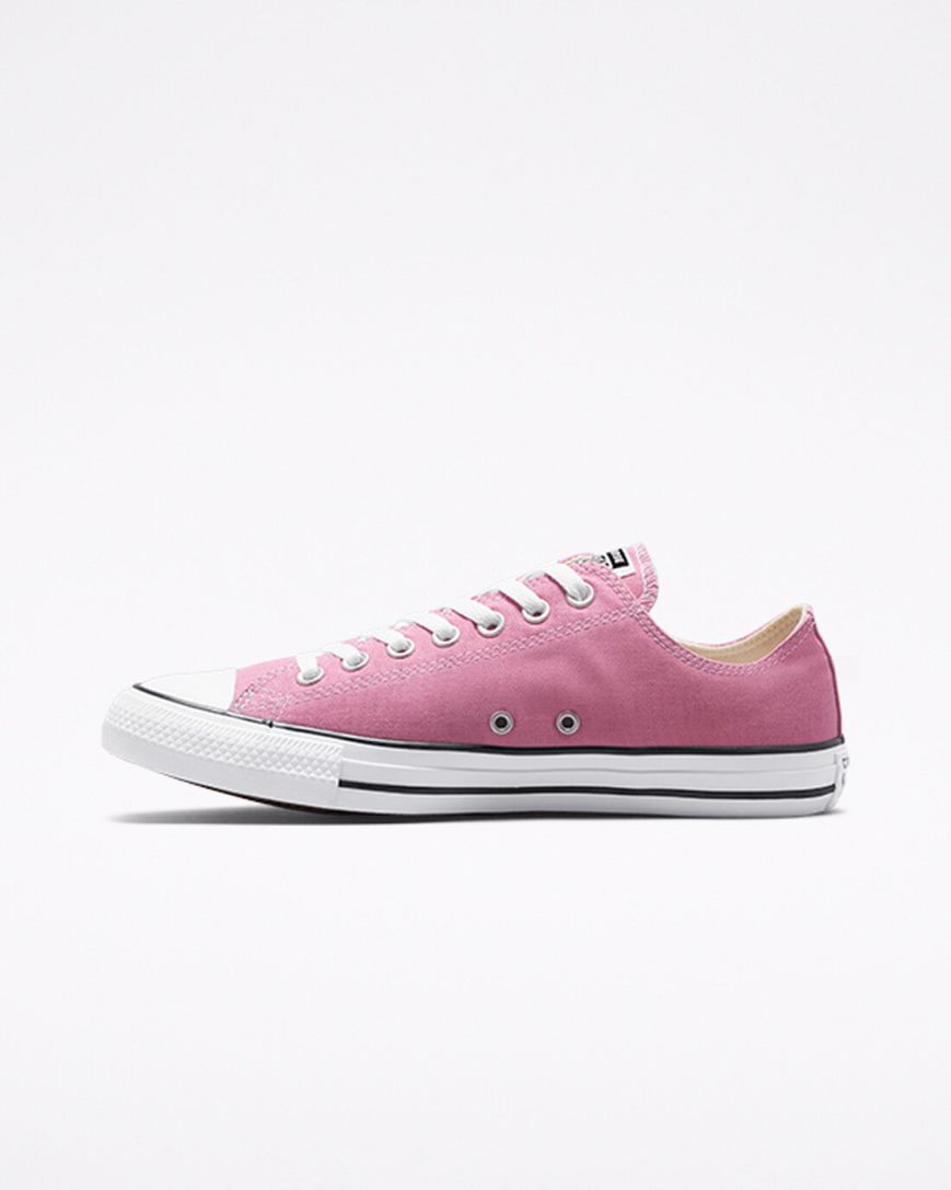 Tenisi Dama Converse Chuck Taylor All Star Seasonal Color Roz | RO KAWCH068